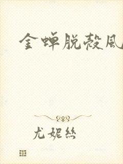 金蝉脱壳风弄