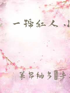 一号红人 小说
