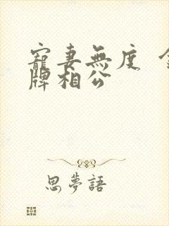 宠妻无度  金牌相公