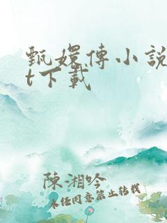 甄嬛传小说txt下载