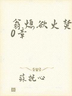 翁熄欲火焚身50章