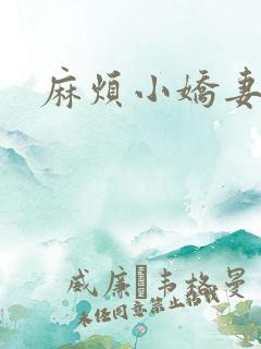 麻烦小娇妻