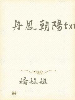 丹凤朝阳txt