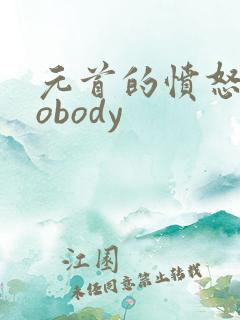 元首的愤怒之nobody