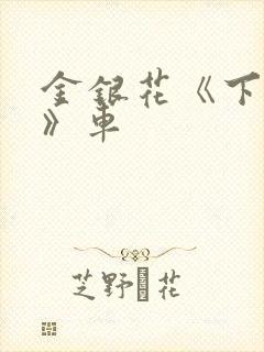 金银花《下厨房》车