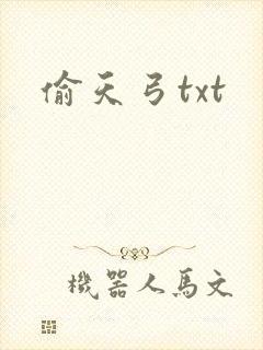 偷天弓txt