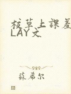 校草上课羞耻PLAY文