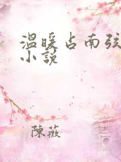 温暖占南弦尹衿小说