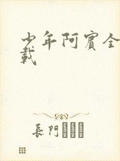 少年阿宾全集下载