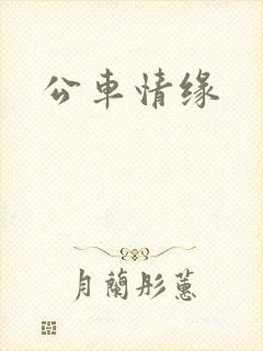 公车情缘