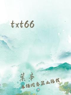 txt66