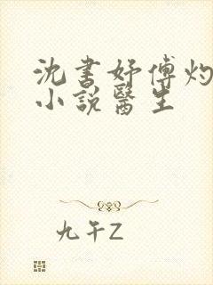 沈书妤傅灼抖音小说医生