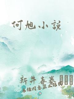 何旭小说