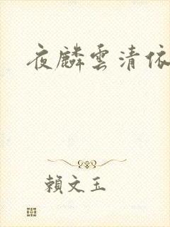 夜麟云清依小说