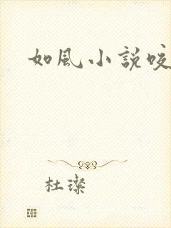 如风小说咬春饼