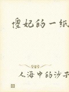 傻妃的一纸休书