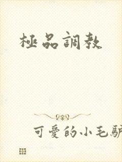 极品调教