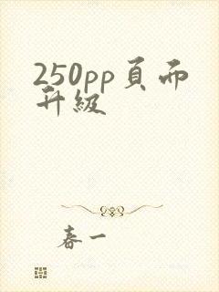 250pp页面升级