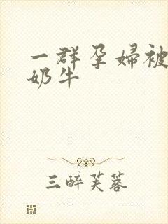 一群孕妇被当成奶牛