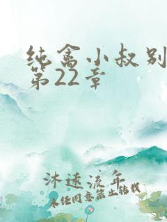 纯禽小叔别太猛第22章