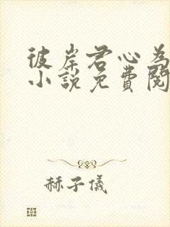 彼岸君心为我倾小说免费阅读