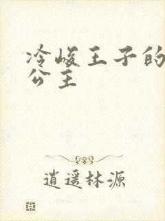 冷峻王子的完美公主