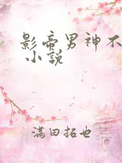 影帝男神不节制 小说