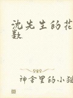 沈先生的花式调数