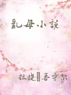 乱母小说