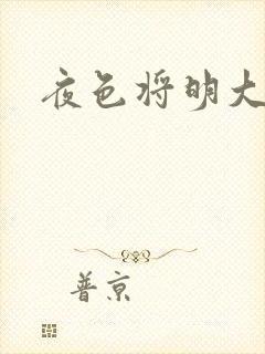 夜色将明大结局