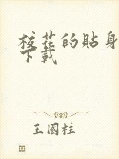 校花的贴身保镖下载