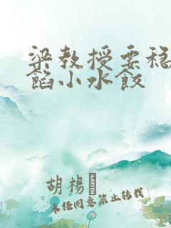 梁教授要稳住肉馅小水饺