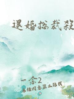 退婚总裁杀手妻