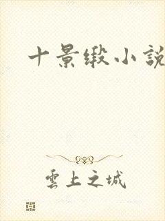 十景缎小说