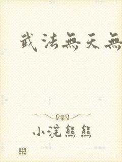 武法无天无弹窗