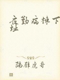 夜勤病栋下载地址