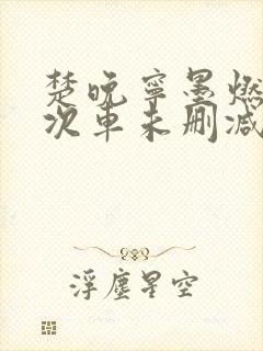 楚晚宁墨燃第一次车未删减