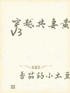 穿越共妻黄暴1V3