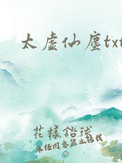 太虚仙尘txt