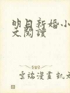 明日新婚小说全文阅读