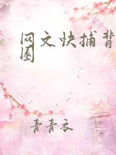 网文快捕背影家园