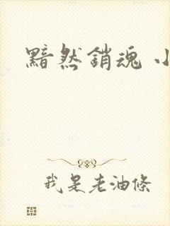 黯然销魂 小说