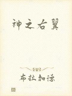 神之右翼