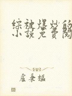 综被爆炒的日常小说免费阅读