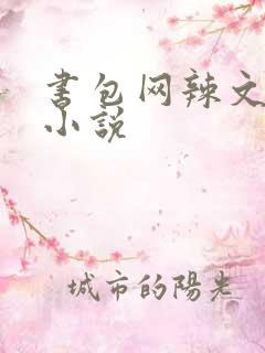 书包网辣文全本小说