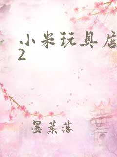 小米玩具店老板2