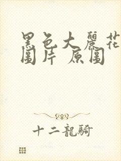 黑色大丽花真实图片 原图