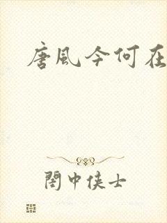 唐风今何在