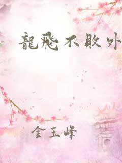 龙飞不败外传