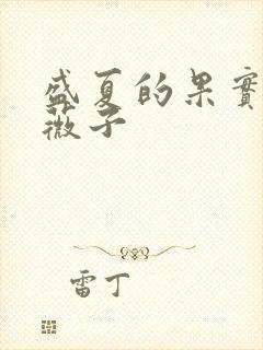 盛夏的果实 小薇子